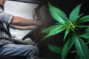 Impact of Marijuana Use on Truck Drivers